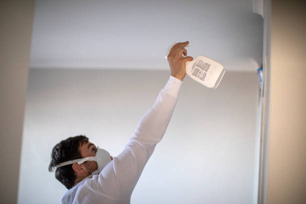 Best Localized Mold Remediation (e.g., coastal areas, humid climates) in Fountain Valley, CA