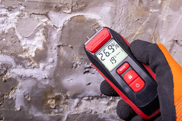 Best Attic Mold Remediation in Fountain Valley, CA
