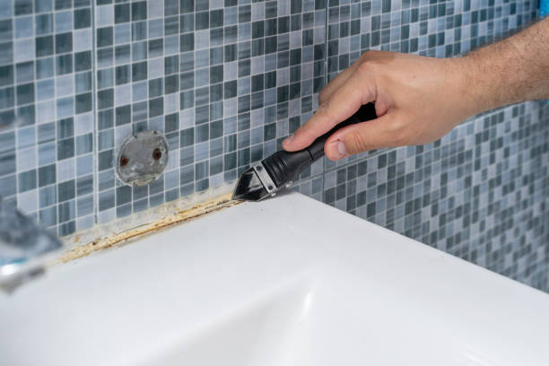Professional Mold Remediation in Fountain Valley, CA