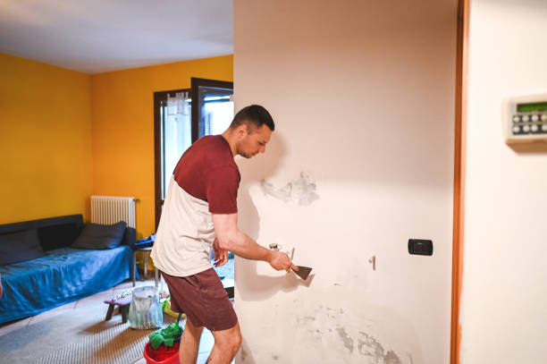 Best Residential Mold Remediation in Fountain Valley, CA