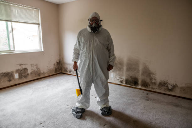 Best HVAC Mold Remediation in Fountain Valley, CA